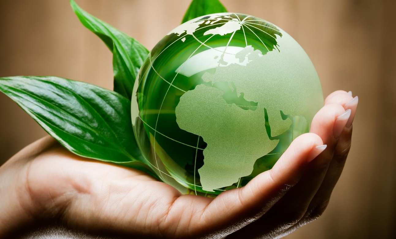 Led: una scelta per l'ambiente