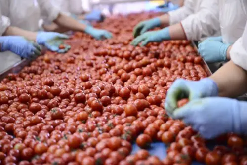 AgriFood One, l'agroalimentare incontra la finanza