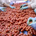 AgriFood One, l'agroalimentare incontra la finanza