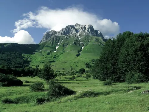 L'Abruzzo è la regione col pollice più verde d'Italia