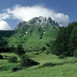 L'Abruzzo è la regione col pollice più verde d'Italia