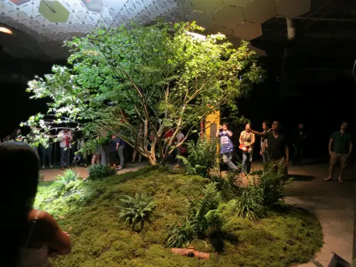 Da New York a Londra, le green city del futuro