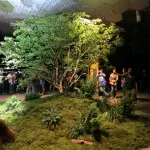 Da New York a Londra, le green city del futuro