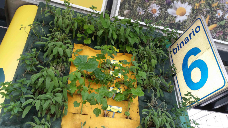 Ricola, con i giardini verticali espone le sue 13 erbe aromatiche in stazione a Milano