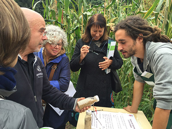 Dal 13 al 15 Maggio Green City Milano: la tre giorni sul verde