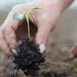 Studio e ricerca per la diffusione dei temi della sostenibilità