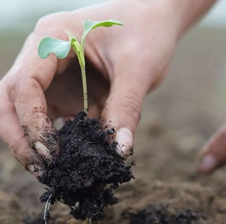 Studio e ricerca per la diffusione dei temi della sostenibilità