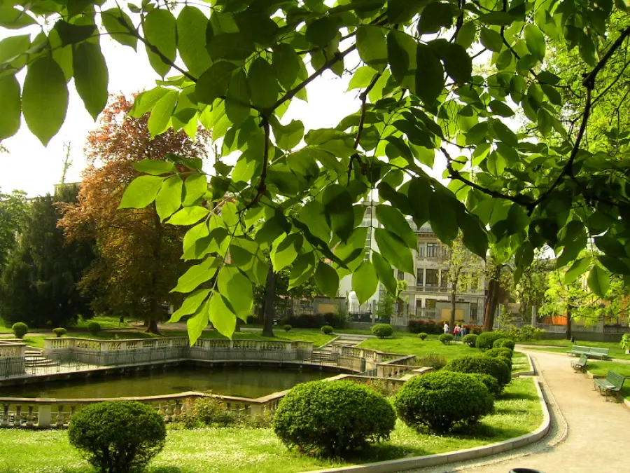 Green City Milano: per riscoprire una Milano sempre più verde e vivibile