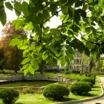 Green City Milano: per riscoprire una Milano sempre più verde e vivibile