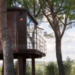 A San Valentino regala un albero, è per tutta la vita.