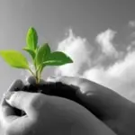 Saras: Organizzazione ed Obiettivi per la salvaguardia dell'ambiente