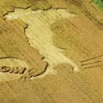 Ogm, schiaffo alla Monsanto: l'Italia chiede all'Ue la sospensione della coltivazione del mais Mon810