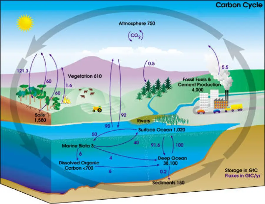 CO2: dall’Inghilterra la soluzione!
