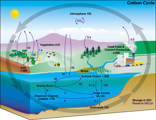 CO2: dall’Inghilterra la soluzione!