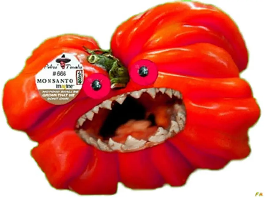 L’app per Smartphone che riconosce la presenza di OGM dall'etichetta dei prodotti