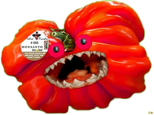 L’app per Smartphone che riconosce la presenza di OGM dall'etichetta dei prodotti