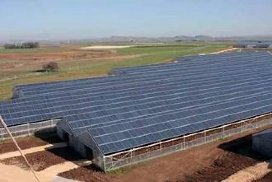In Italia la più grande serra agricola fotovoltaica del mondo