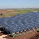 In Italia la più grande serra agricola fotovoltaica del mondo