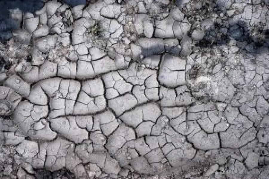 Allarme della Fao: la siccità negli USA fa incrementare i prezzi del mais