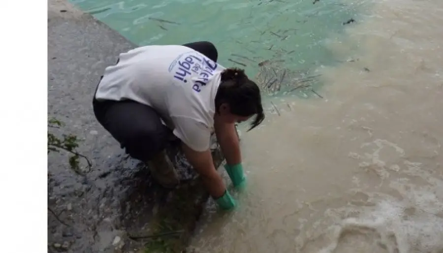 I risultati del monitoraggio della Goletta dei Laghi sul Sebino