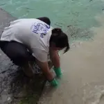 I risultati del monitoraggio della Goletta dei Laghi sul Sebino