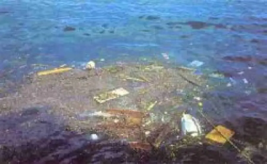 Mediterraneo: pattumiera di rifiuti di plastica