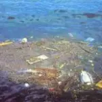 Mediterraneo: pattumiera di rifiuti di plastica