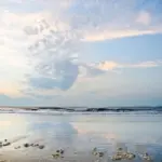 Le acque italiane sempre più blu