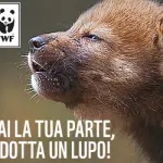 WWF Italia: campagna 