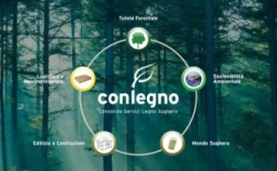 Legno a salvaguardia dell'ambiente