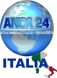 Crisi alimentare e biocarburanti