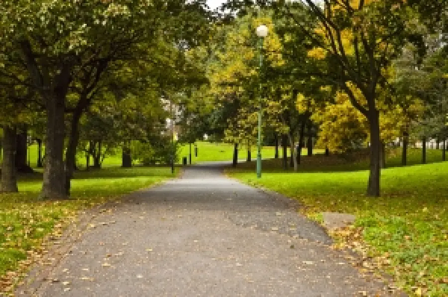 Londra: alberi per combattere lo smog