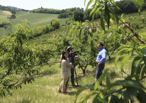 Territori.coop. L'etica va premiata