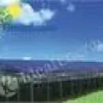 Energia pulita, a Lodi inaugurata la prima maxi serra solare