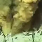 Golfo del Messico: nuova fuga di idrocarburi