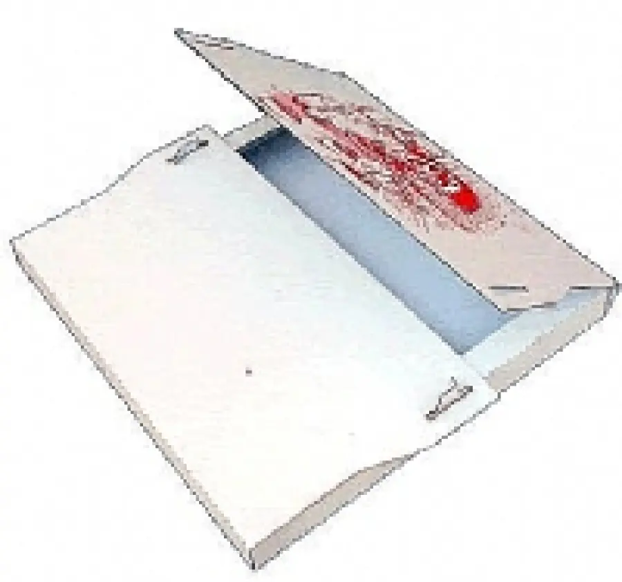 Cartone pizza ecologico e riciclabile