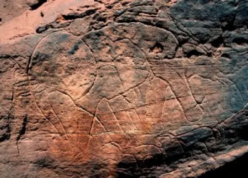 Sahara: rinascono 80 oasi