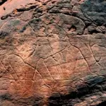 Sahara: rinascono 80 oasi