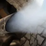 Prestigiacomo: imitare le capitali europee virtuose