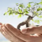 TNT premiata per l'ecosostenibilità