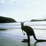 L'Australia investe nel turismo ecosostenibile