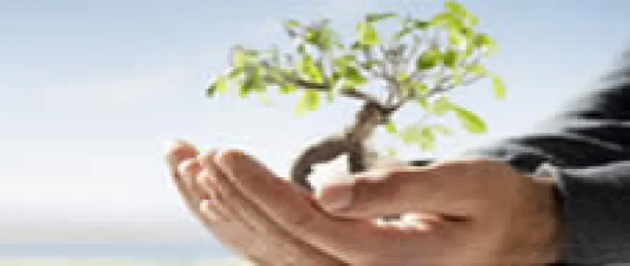 TNT premiata per l'ecosostenibilità