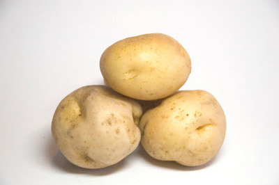 Amflora, il tubero della discordia