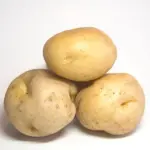 Amflora, il tubero della discordia