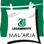 Torino  città lumaca: il  triciclo vince sul traffico