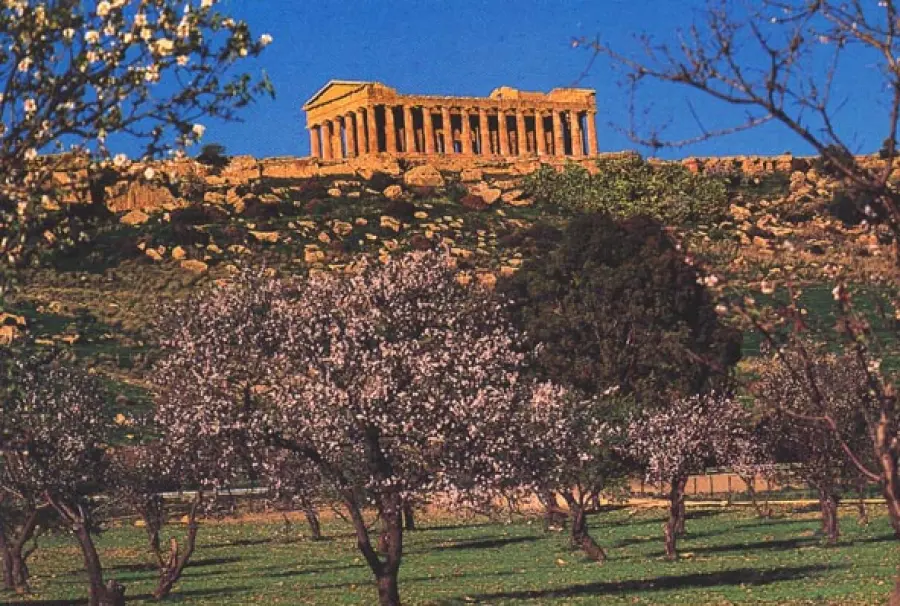 Agrigento: nuova politica di "acquisti verdi"