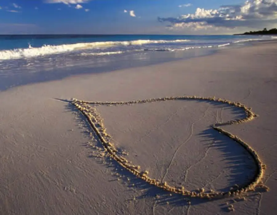 Regali ecologici per San Valentino