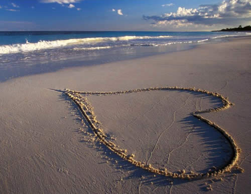 Regali ecologici per San Valentino