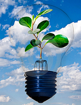 ROMA, 13/14 febbrario,ENERGIE RINNOVABILI, ingresso libero