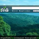Ecosia, il motore di ricerca ecologico per salvare l'Amazzonia con il Wwf
